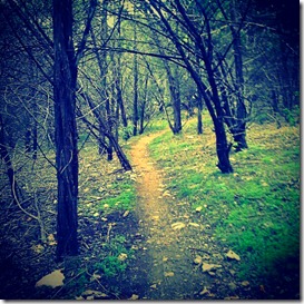 trails2