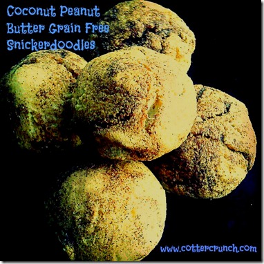 coconut snickerdoodle