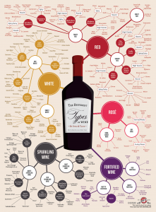 Different-Types-of-Wine-Infographic-Chart3