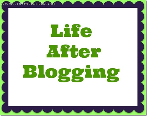 after bloggin pin