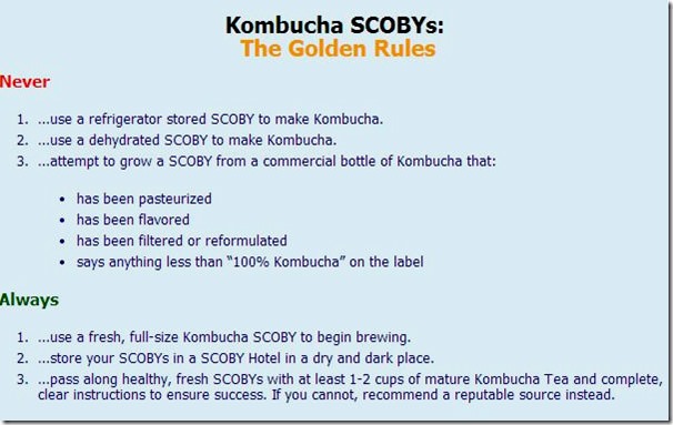 golden rules of brewing kombucha