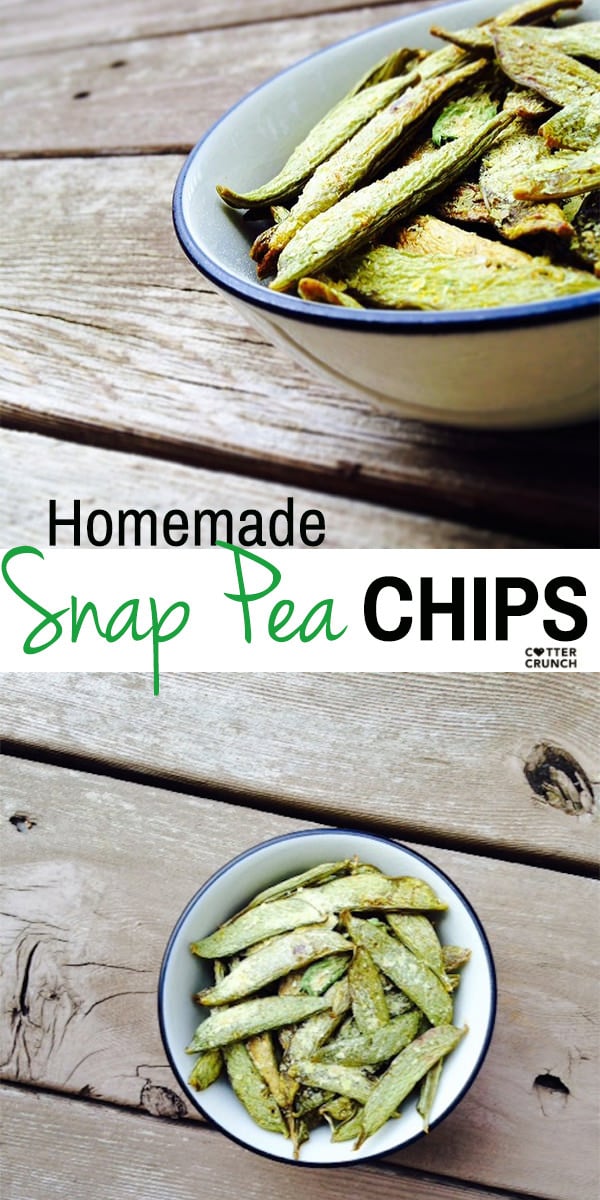 How to make homemade snap pea chips. Easy in oven or dehydrator! Saves money and is delicious!