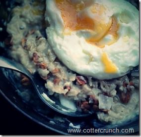egg and oats