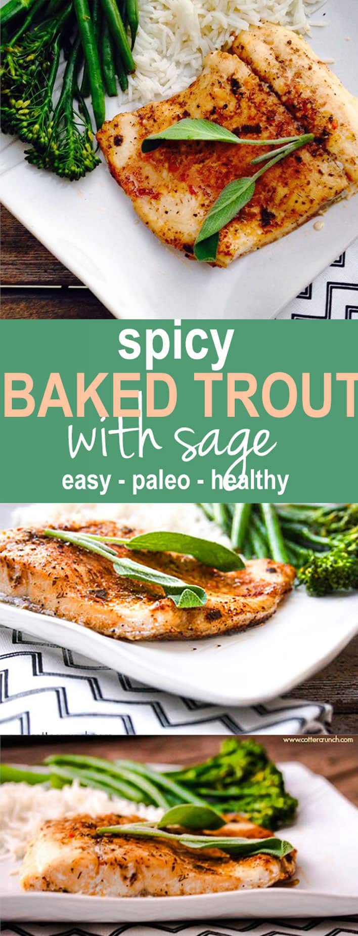 Spicy Baked Southwest Trout with Herbs! This baked trout is easy to make, paleo, and great use of herbs (like sage) and other spices! @cottercrunch