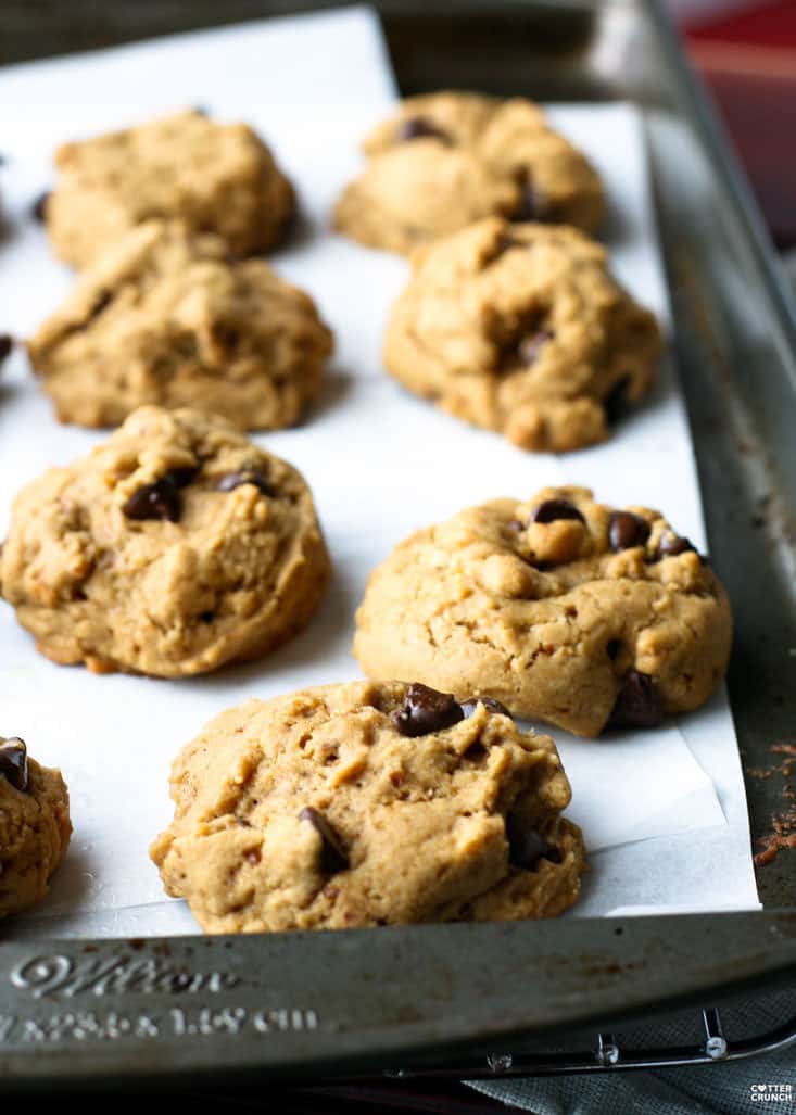 The Best Ever Maple Chocolate Chip Cookies recipe! These cookies are gluten free, dairy free, full of flavor, lower in sugar, with soft but crispy texture.
