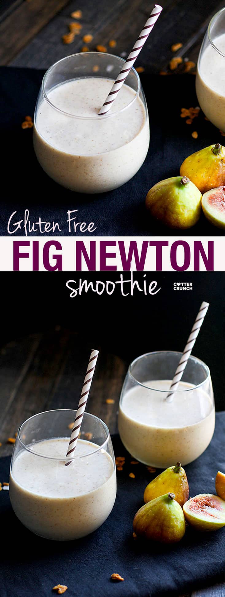 Gluten free Fig Newton Cookie Breakfast smoothie! Finally, a fiber rich and flavorful smoothie that will power you through the day! Vegan and Paleo friendly, and it bonus points because it actually tastes like a COOKIE! YUM!