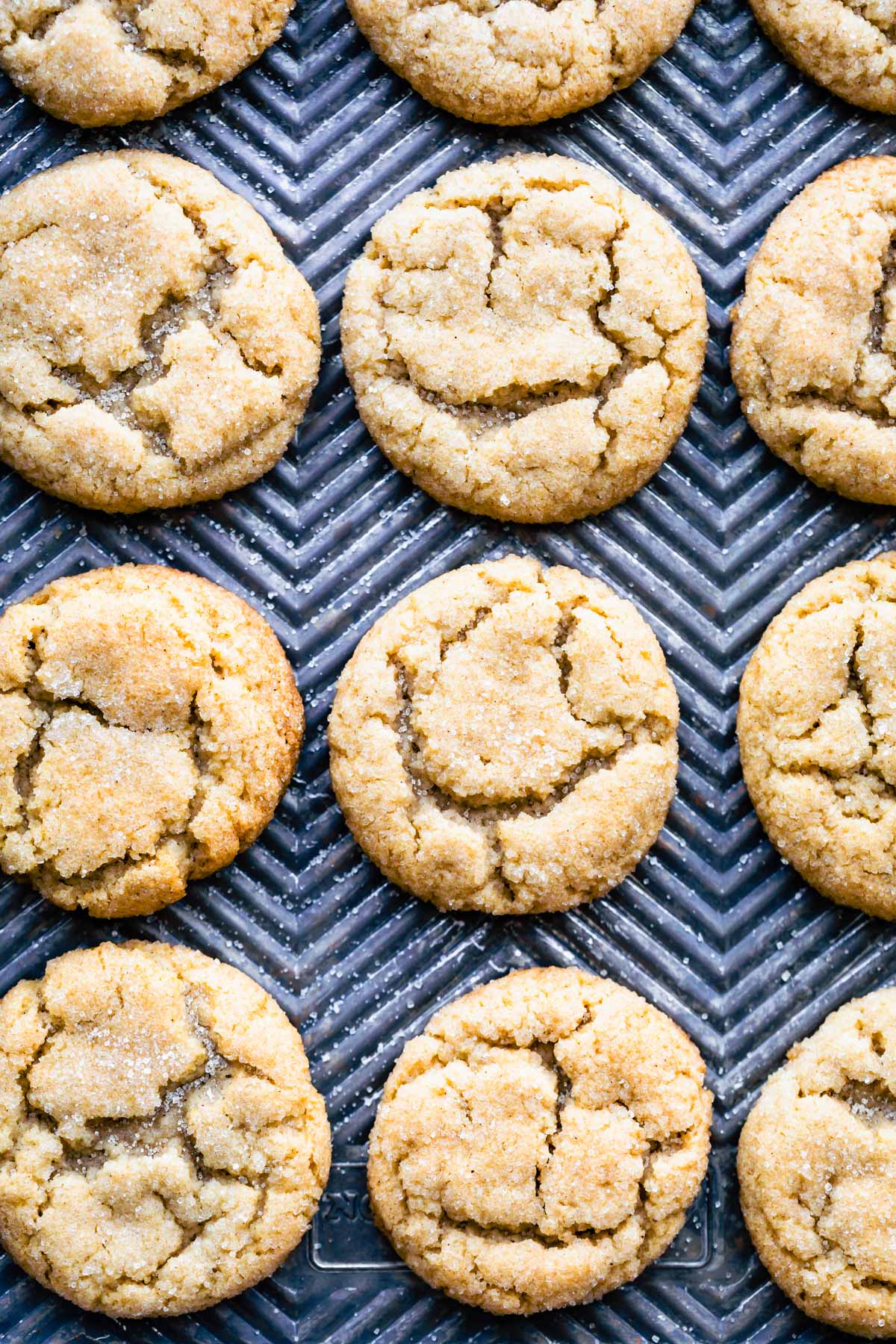 Overhead view almond flour sugar cookies baked and lined up on sheet pan