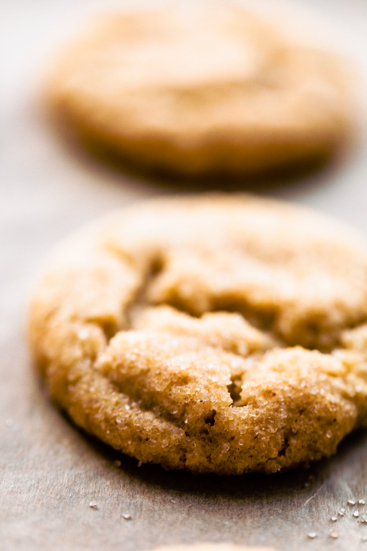 close up of cookies, sugar cookie