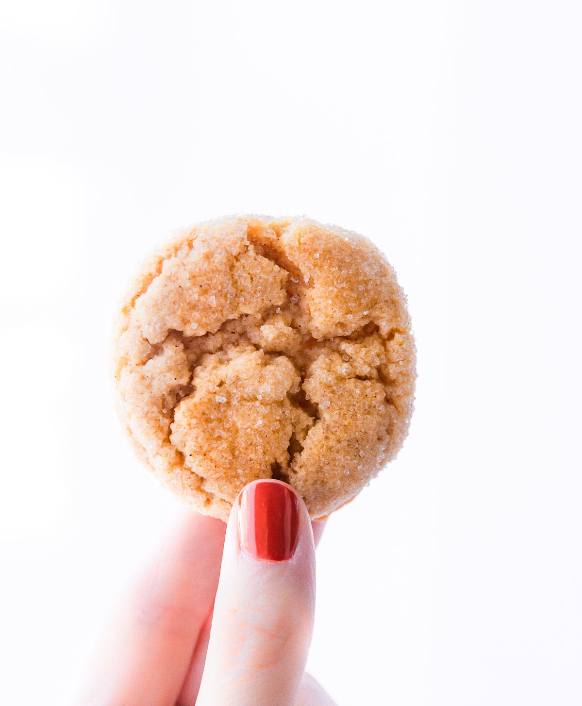 An almond flour sugar cookie sprinkled with cinnamon sugar being held between thumb and forefinger.