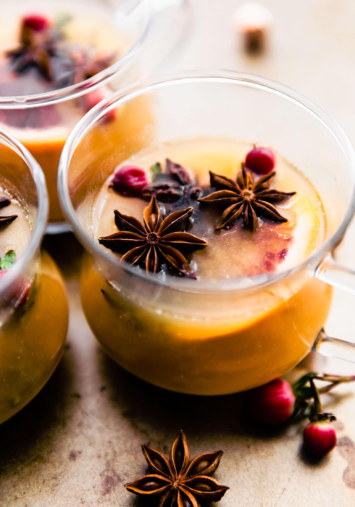 Close up view glass filled with spiced hot toddy with floating fresh cranberries, orange slices, and star anise.