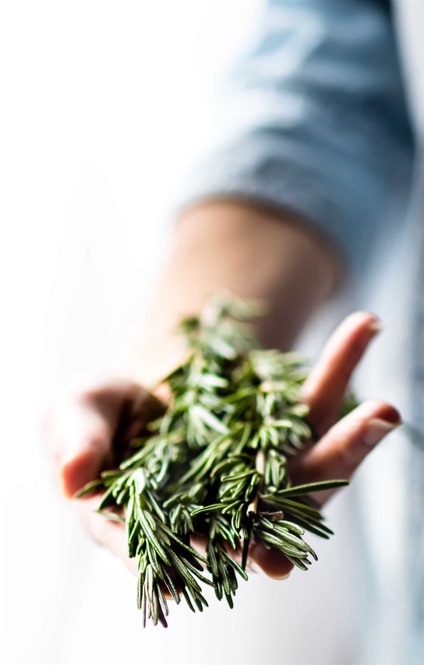 a hand holding a fresh sprig of rosemary