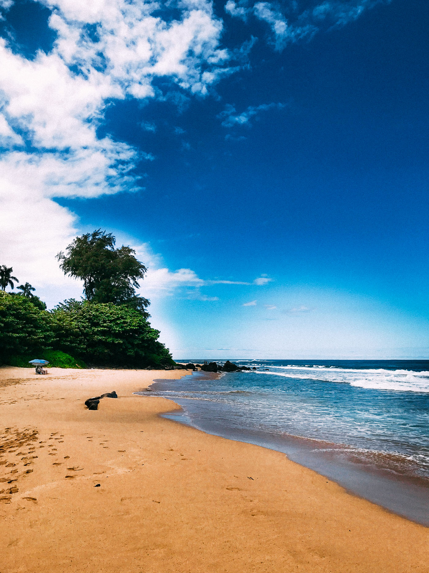 Tropical beach with ocean views and blue sky