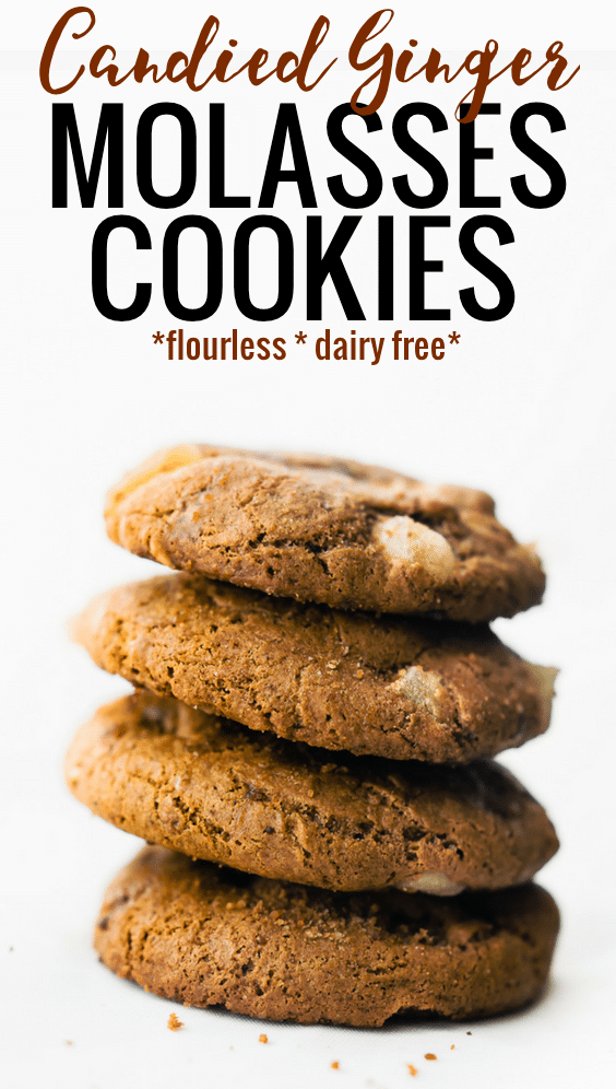 Flourless chewy ginger molasses cookies are delicious gluten free holiday cookies, made with real food ingredients! These chewy molasses cookies are a healthier version of the childhood favorite molasses cookies your grandma made. With real molasses, candied ginger chips and no oils, this may be your new favorite molasses cookie recipe! #cookies #glutenfree #dairyfree