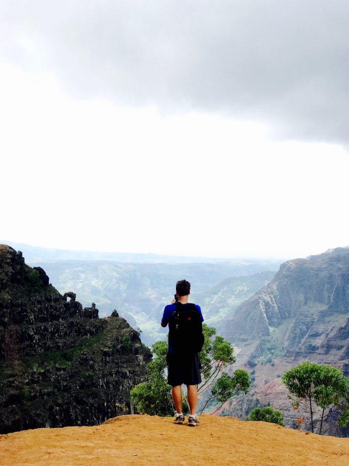 A man looking out over the Waimea Canyons