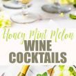 melon and white wine cocktails pin