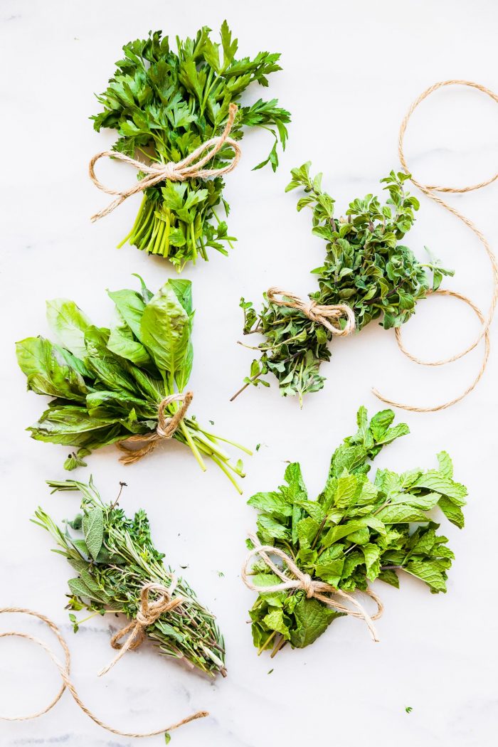 Fresh herbs in small bundles tied with twine