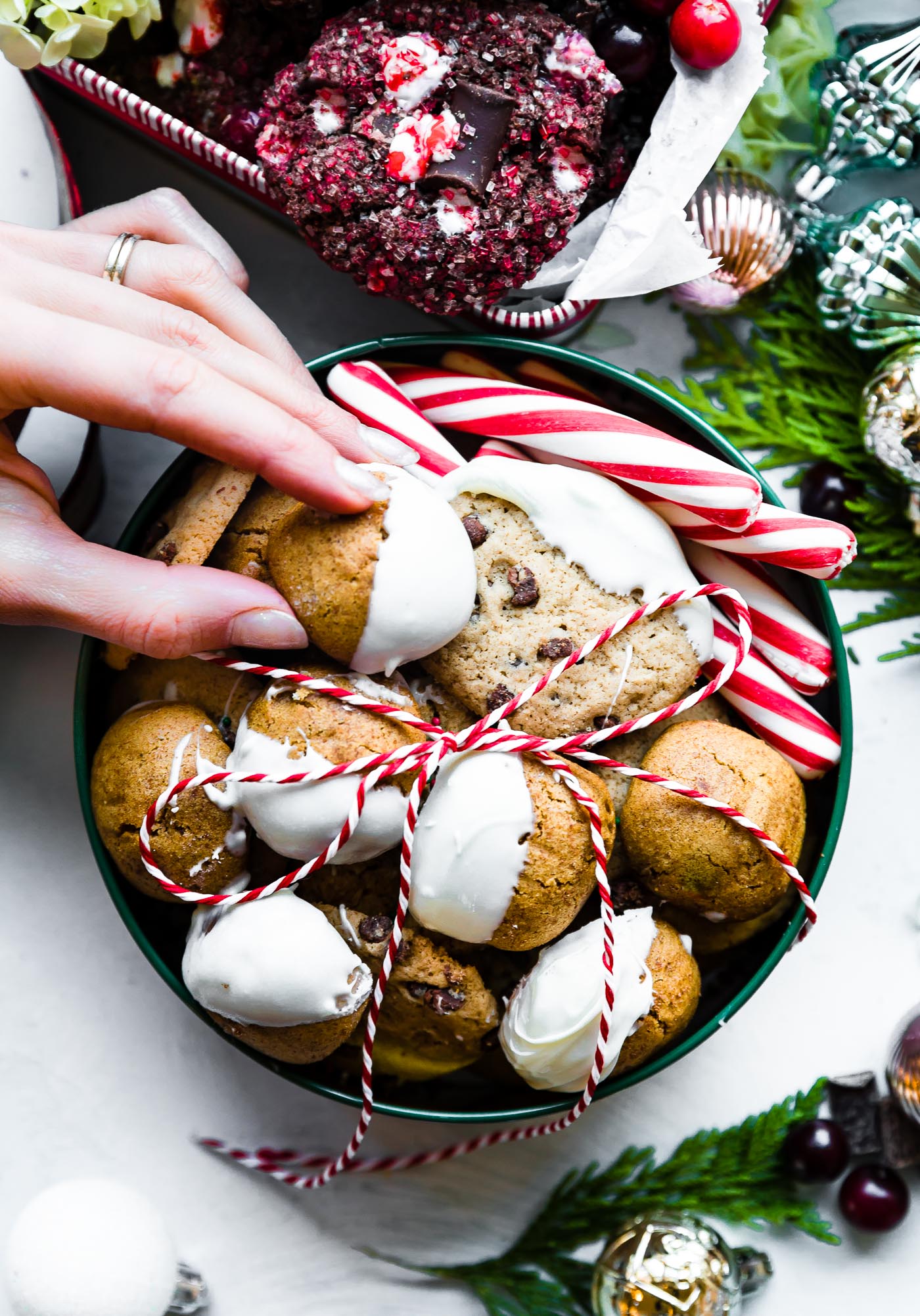 cookies dipped in white chocolate in a Christmas cookie tin with peppermints.