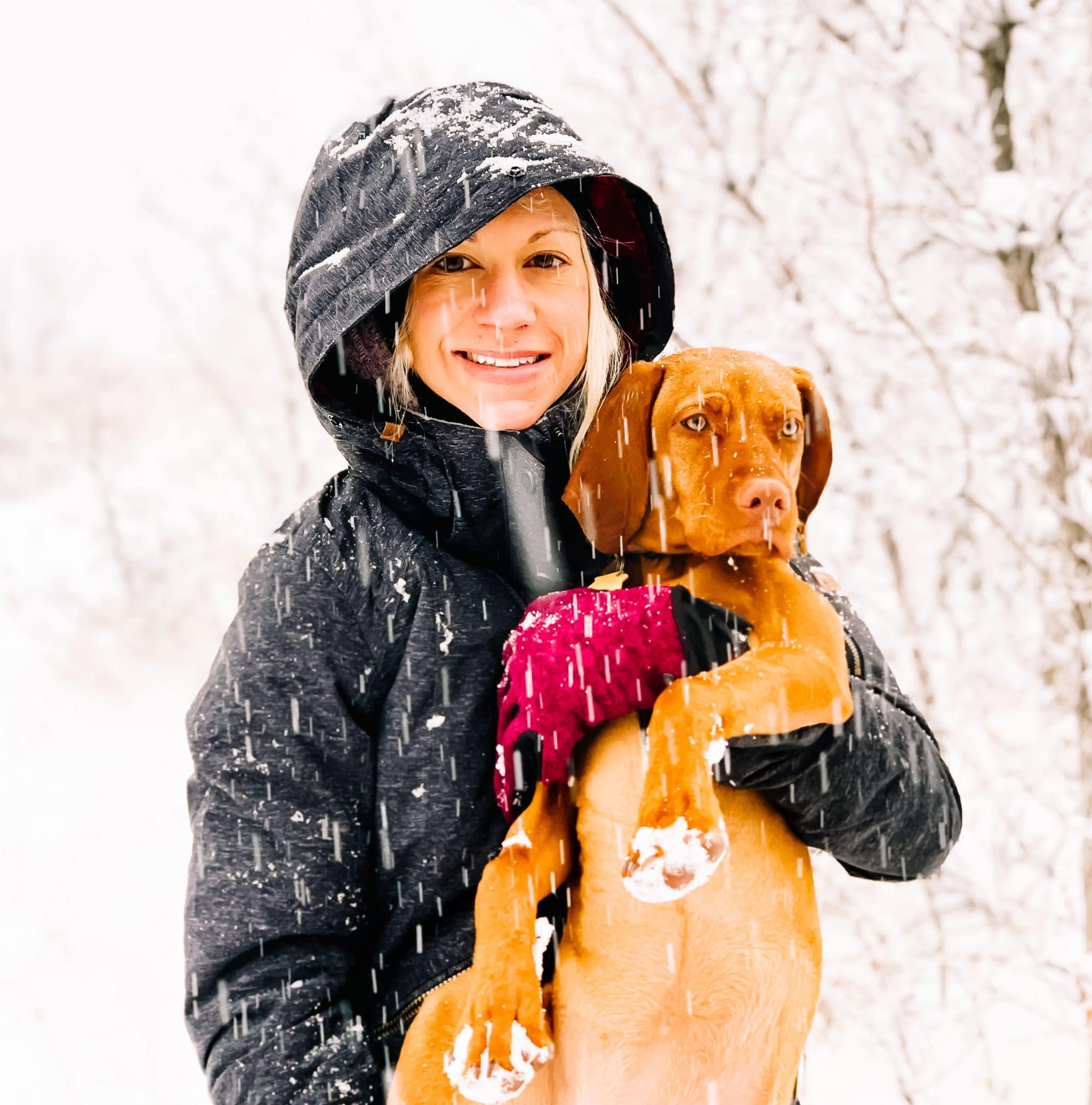 Woman holding vizsla dog with snow falling around them.