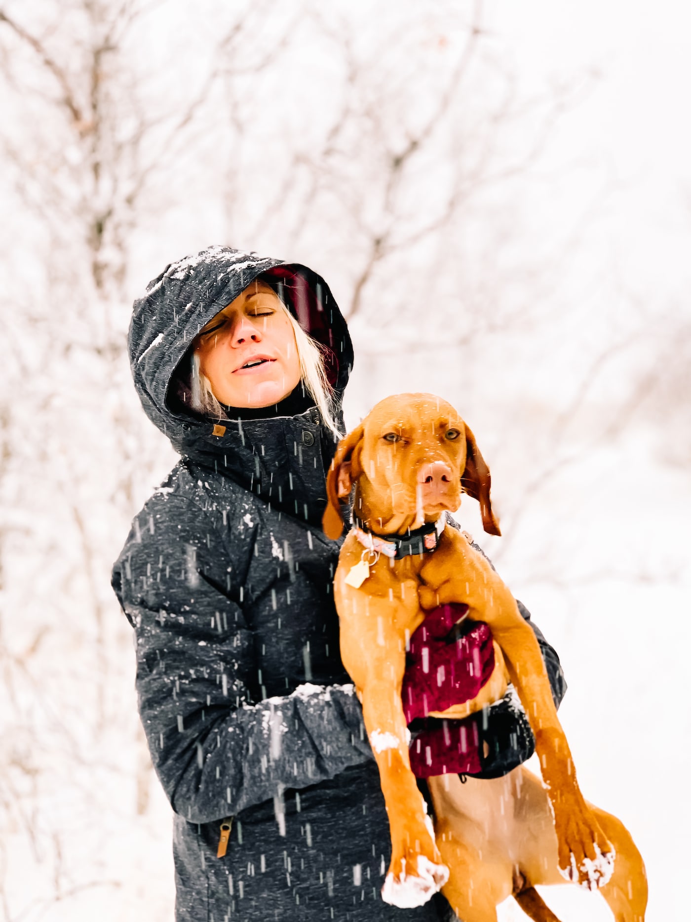 A woman holding a vizsla puppy, snow falling all around.