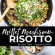 Millet risotto with ingredients and collage