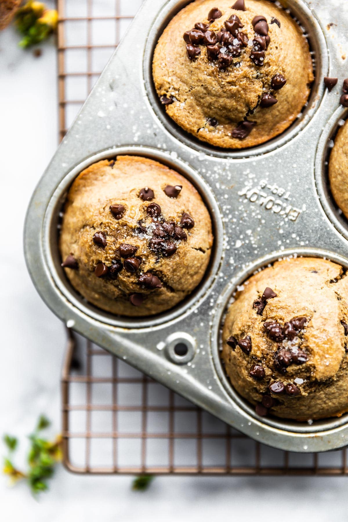 close up of chocolate chip protein muffins in muffin pan
