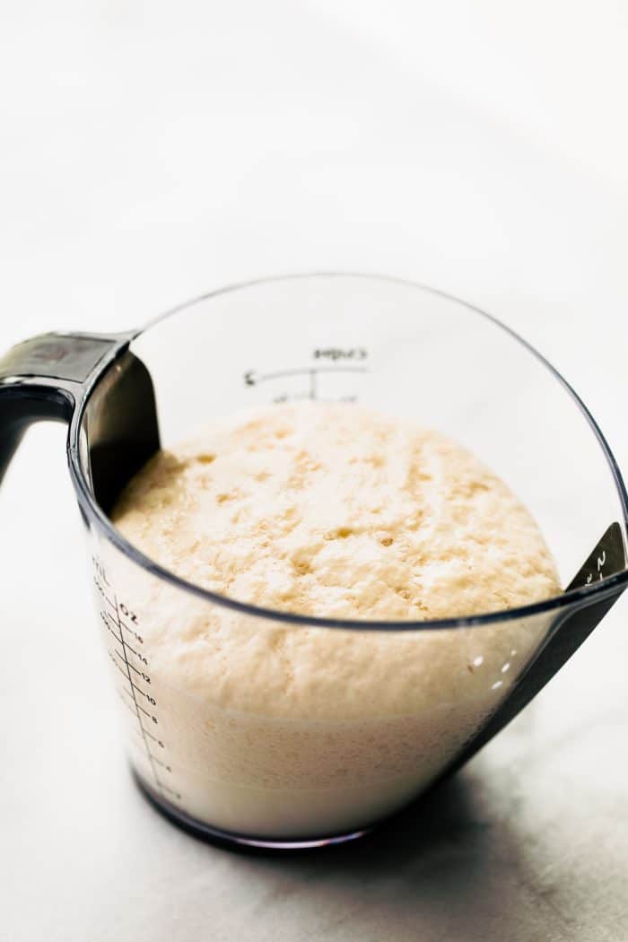 Bubbly activated yeast in a measuring cup.