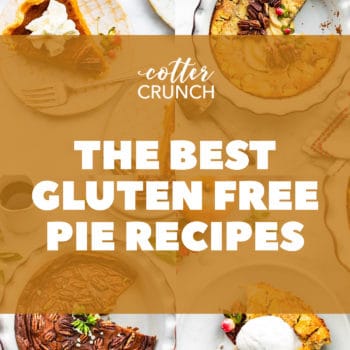 the best gluten free pies cover photo