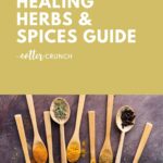 cover image reading Healing Herbs & Spices Guide with herbs and spices in wooden spoons