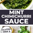 Mint Chimichurri Sauce Recipe Pinterest Image