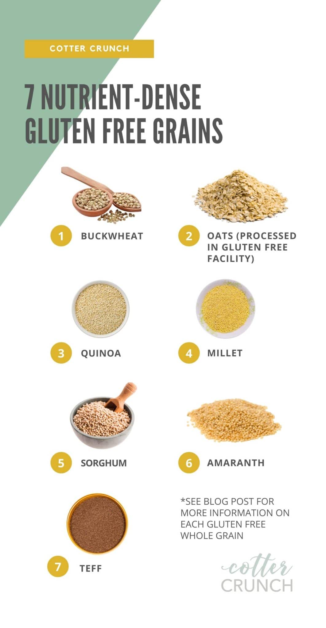 a graphic reading, "7 Nutrient-Dense Gluten Free Grains" with pictures and labels of buckwheat, oats, quinoa, millet, sorghum, amaranth, teff