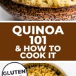 Quinoa 101 & How to Cook It Pinterest Image