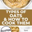 types of oats and how to cook them pinterest image