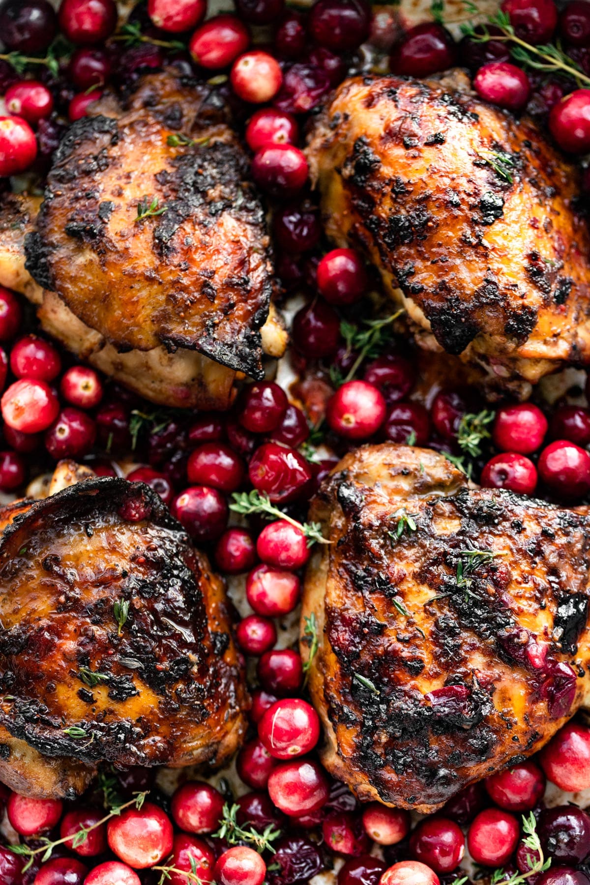 close up image of four pieces of balsamic roasted cranberry chicken thighs surrounded by cranberries