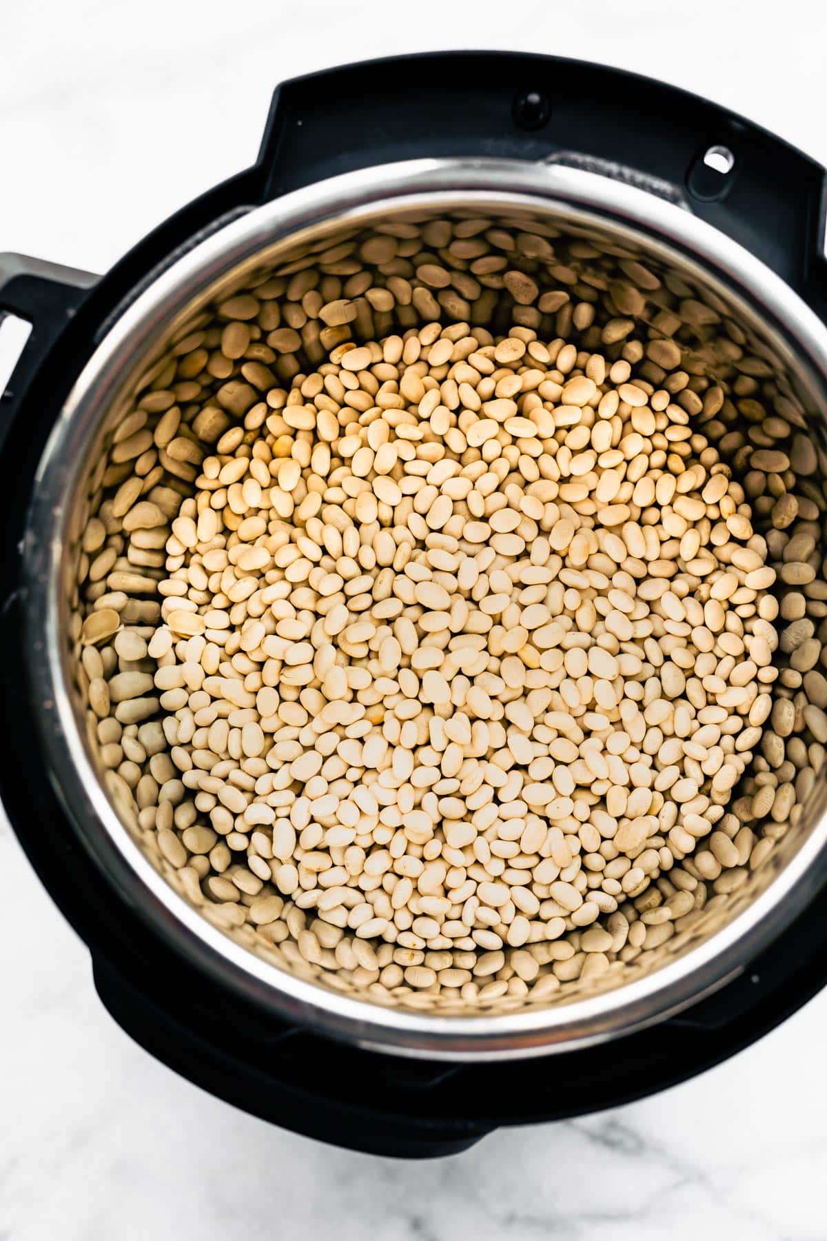 Overhead shot of white beans in an Instant Pot