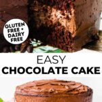 A graphic featuring a slice of gluten free chocolate cake and a whole dairy free chocolate cake with text.