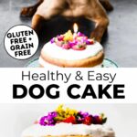 This Healthy Dog Cake Recipe is the perfect way to celebrate your pup! Made with gluten-free, natural ingredients it’s a sweet treat that won’t upset their stomach. Bonus – it’s safe for humans to eat and is delicious! Make this easy dog birthday cake with grain free chickpea flour and yogurt frosting. Some canine birthday cakes use pumpkin and banana but this healthy cake uses flour, strawberries and almond milk.