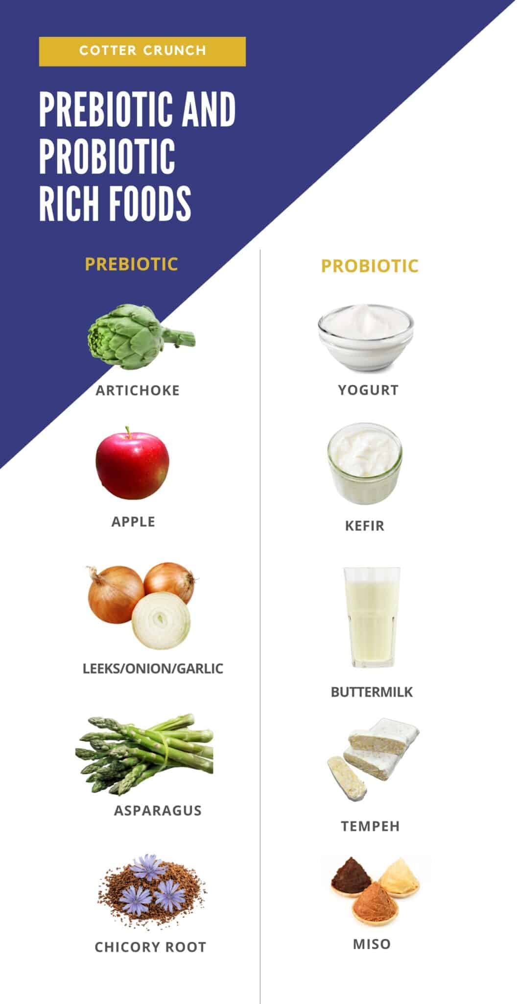 graphic of prebiotic and probiotic rich foods. artichoke, apple, yogurt, leeks, asparagus, buttermilk, yogurt, kefir